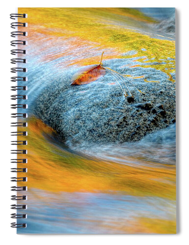 Autumn In Nh Spiral Notebook featuring the photograph Leaf Lines NH by Michael Hubley