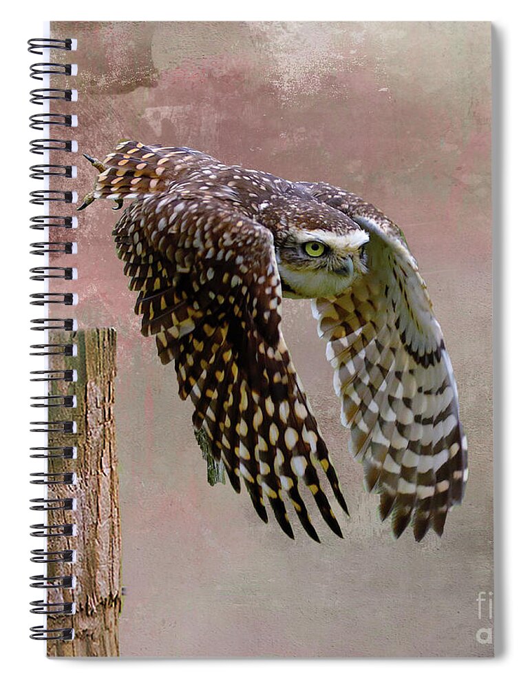 Burrowing Owl Spiral Notebook featuring the mixed media Leap of Faith by Kathy Kelly