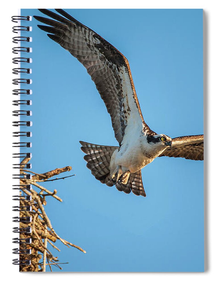 Nature Spiral Notebook featuring the photograph Leaving The Nest by Cathy Kovarik