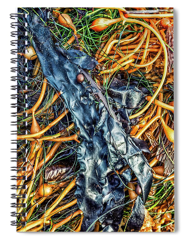 Beach Spiral Notebook featuring the photograph Left By The Sea #4 by Joseph S Giacalone
