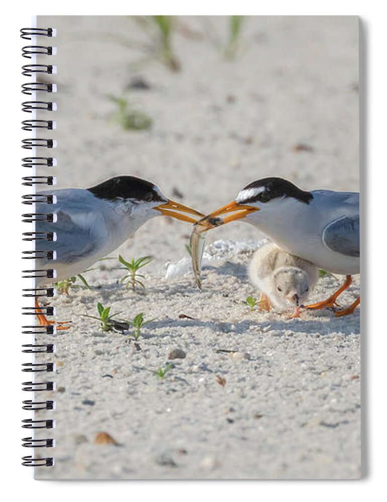 Bird Spiral Notebook featuring the photograph Let Me Try by Susan Rissi Tregoning