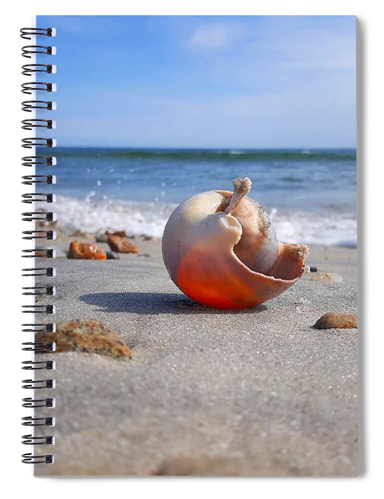 Shell Spiral Notebook featuring the photograph Let The Sunshine In/ Inner Peace by Dani McEvoy