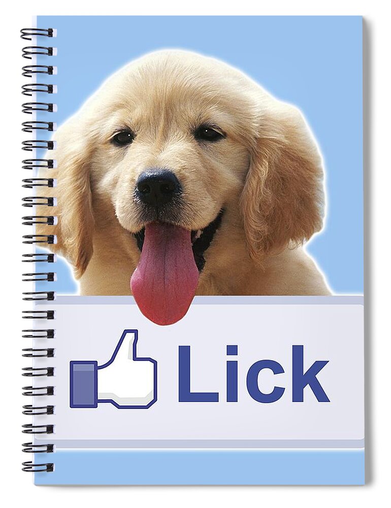 Dog Spiral Notebook featuring the painting Lick by Yom Tov Blumenthal