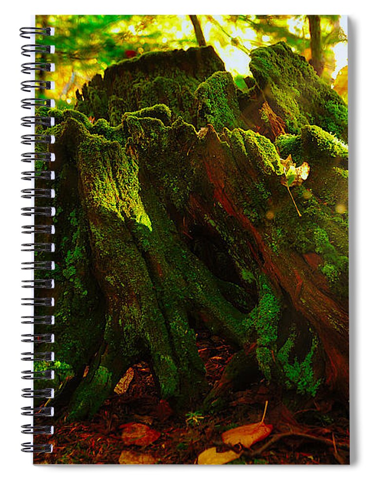 Photograph Spiral Notebook featuring the photograph Life from Death by Richard Gehlbach