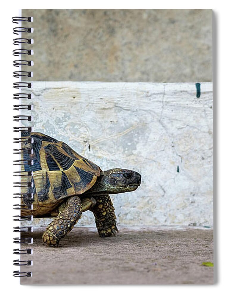 Animal Spiral Notebook featuring the photograph Life in the Fast Lane by Rick Deacon
