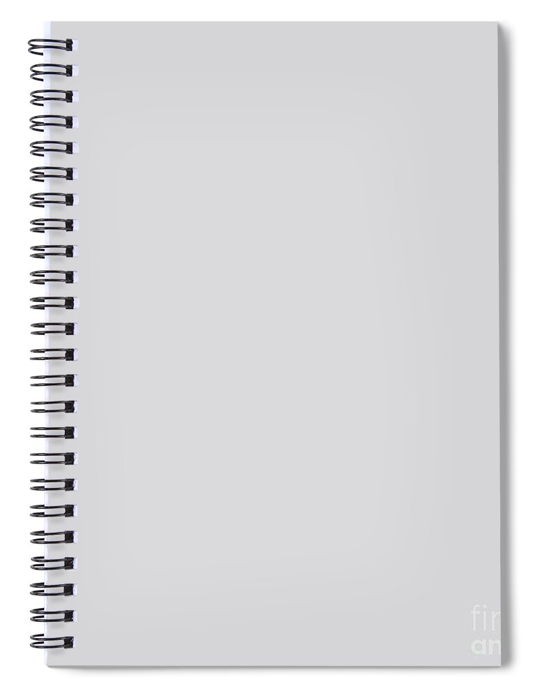 Gray Spiral Notebook featuring the digital art Light Gray Grey by Delynn Addams for Interior Home Decor by Delynn Addams