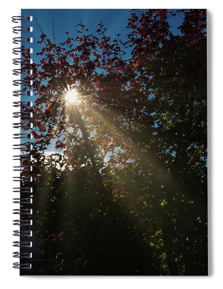 Sun Spiral Notebook featuring the photograph Light by Nick Mares