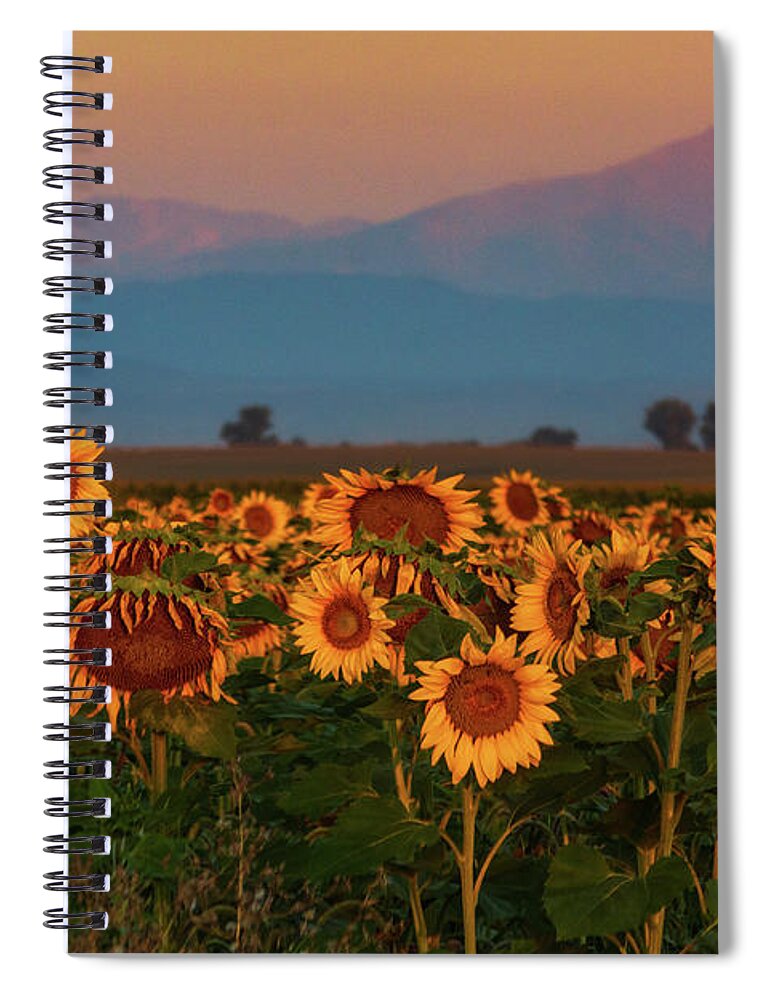 Berthoud Spiral Notebook featuring the photograph Light Of The Sunflowers by John De Bord