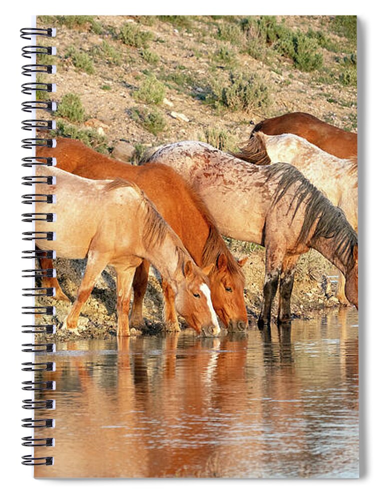 Horses Spiral Notebook featuring the photograph Lineup at the Pond-- Wild Horses by Judi Dressler
