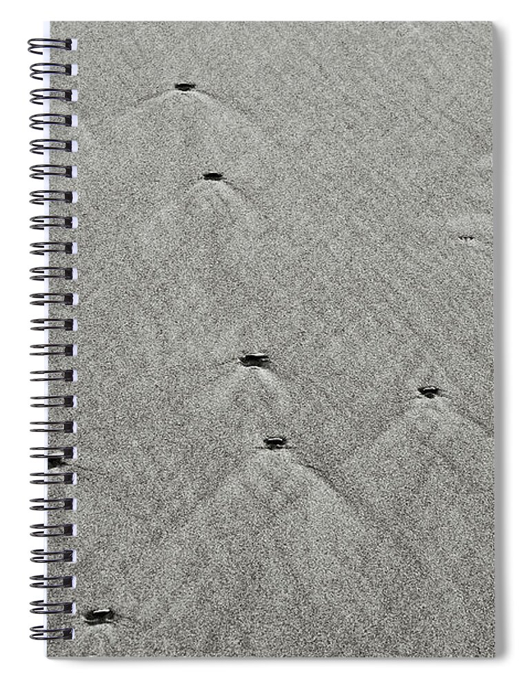 Pebbles Spiral Notebook featuring the photograph Little Pebbles Big Wake by Robert Woodward