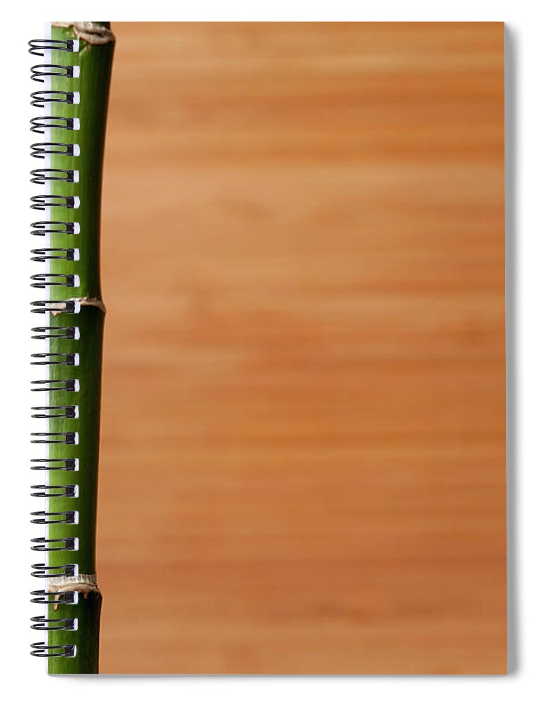 Bamboo Spiral Notebook featuring the photograph Live Bambooplant On Bamboo Board by Jill Fromer