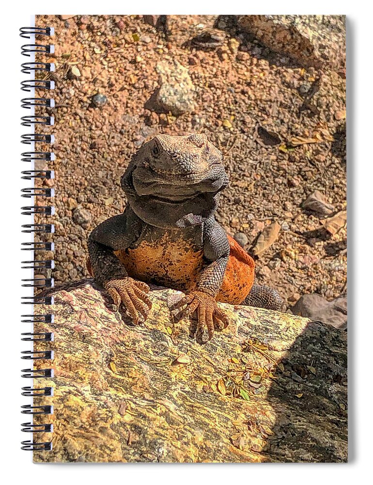 Lizard Spiral Notebook featuring the photograph Lizard Portrait by Anthony Giammarino