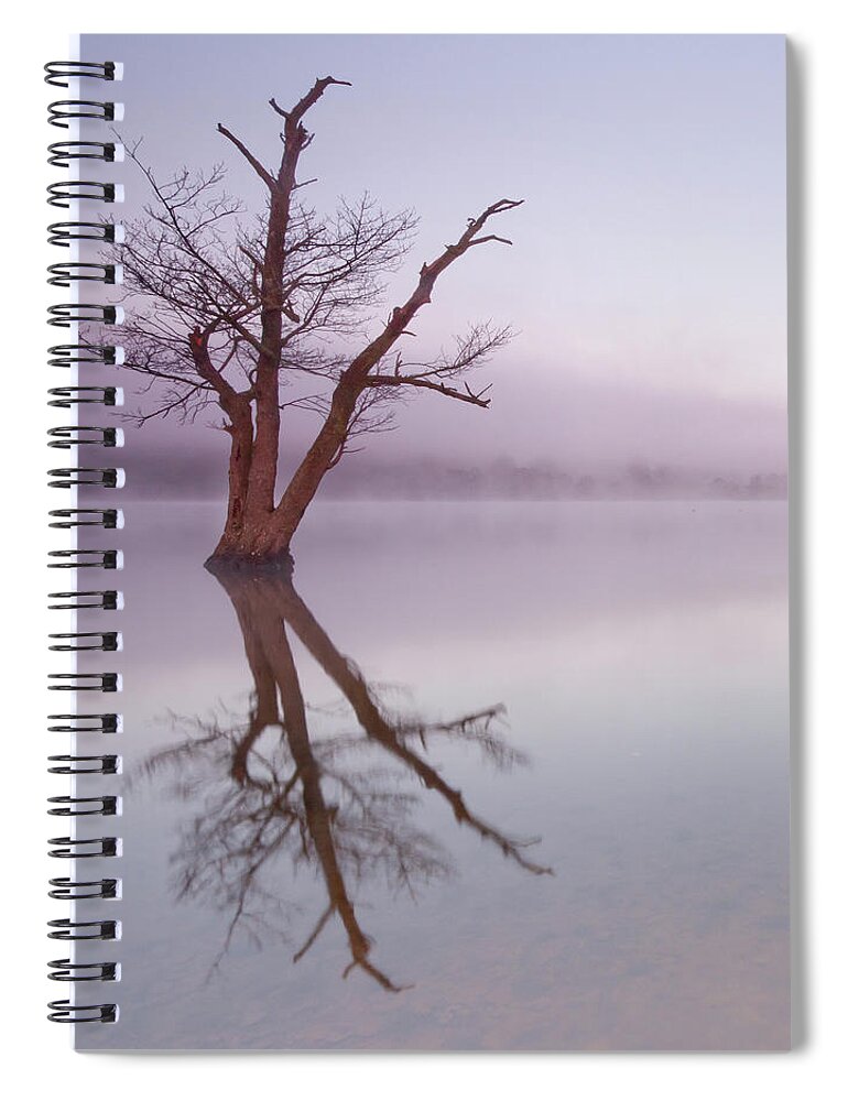 Landscape Spiral Notebook featuring the photograph Lone tree in still lake in the mist at sunrise by Anita Nicholson