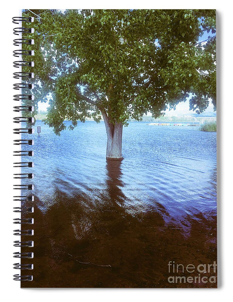 Water Spiral Notebook featuring the photograph Tree in the Lake - Shadow Cliffs, Pleasanton, Northern California by Rhonda Chase
