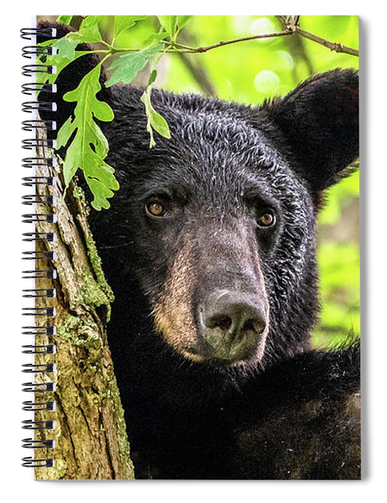 Yearling Spiral Notebook featuring the photograph Lonely Boy by Marcy Wielfaert