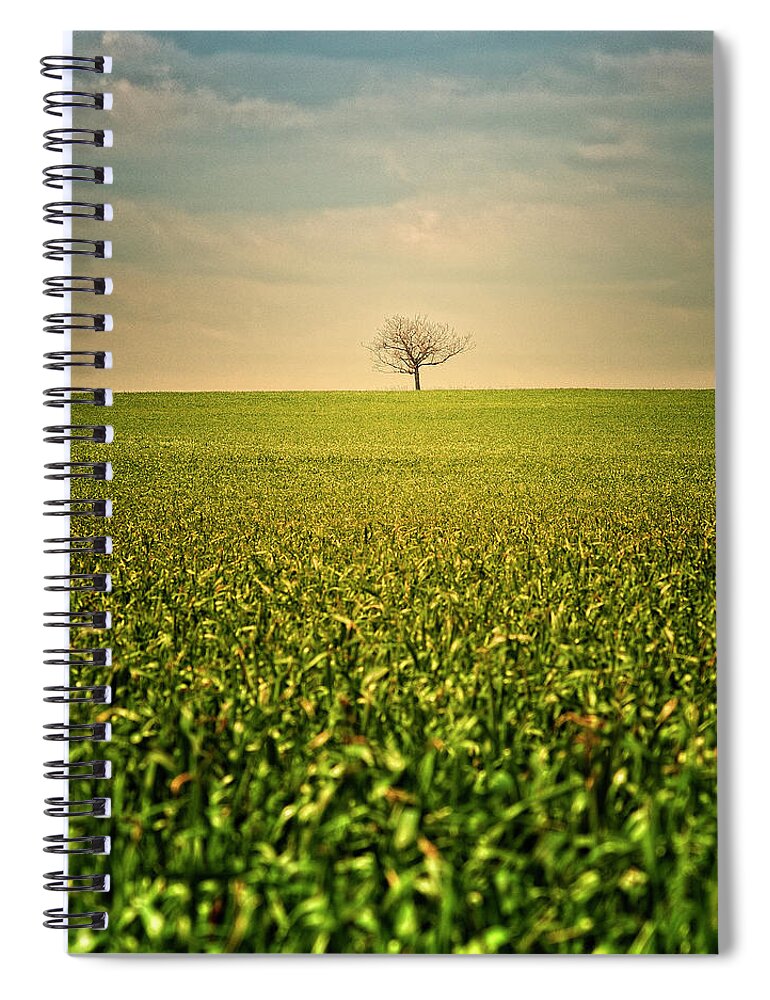 Tranquility Spiral Notebook featuring the photograph Lonely Tree by D-focused Photography