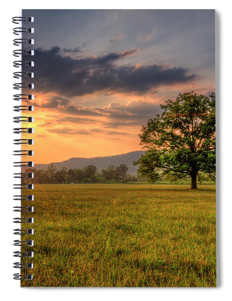 Grass Spiral Notebook featuring the photograph Lonely Tree In Field by Malcolm Macgregor