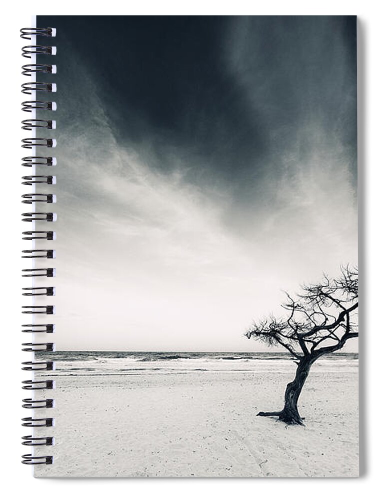Scenics Spiral Notebook featuring the photograph Lonely Tree On Beach by Philipp Klinger