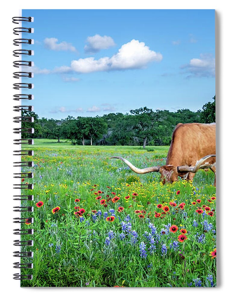 Texas Wildflowers Spiral Notebook featuring the photograph Longhorn In Bluebonnets by Johnny Boyd