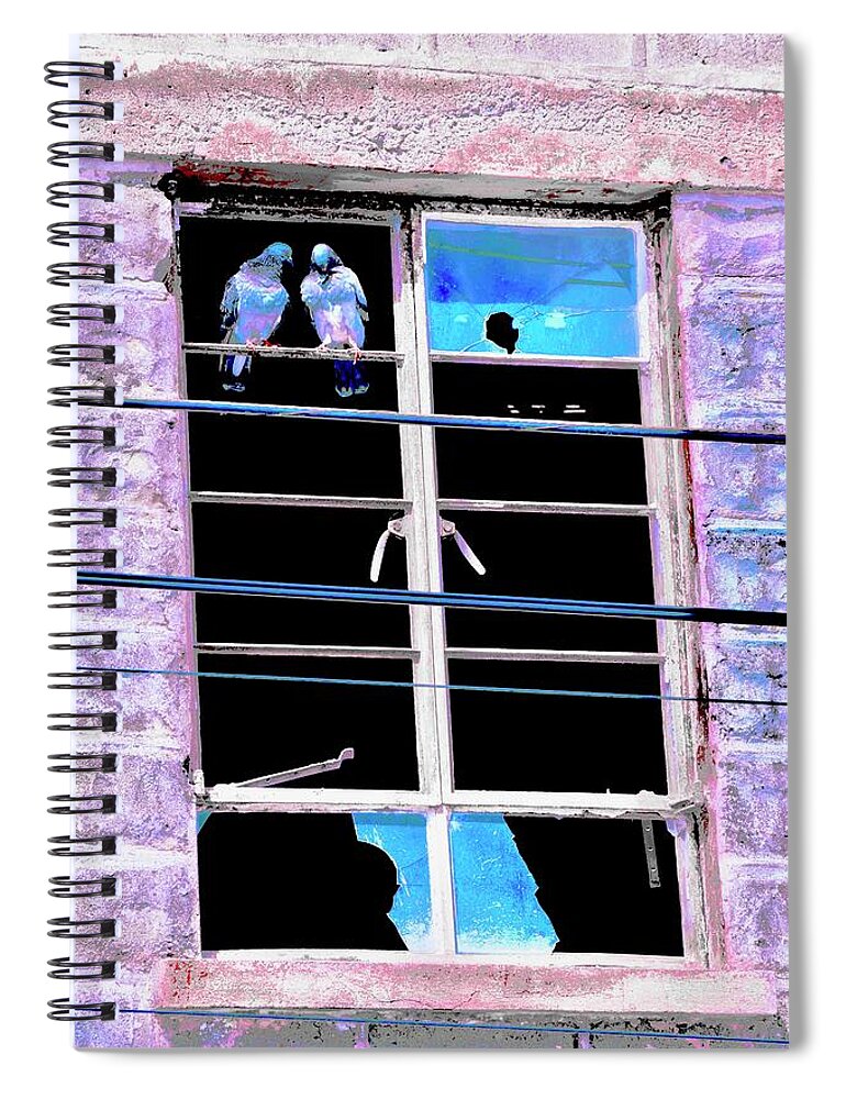 Photograph Spiral Notebook featuring the photograph Look of Love by Debra Grace Addison