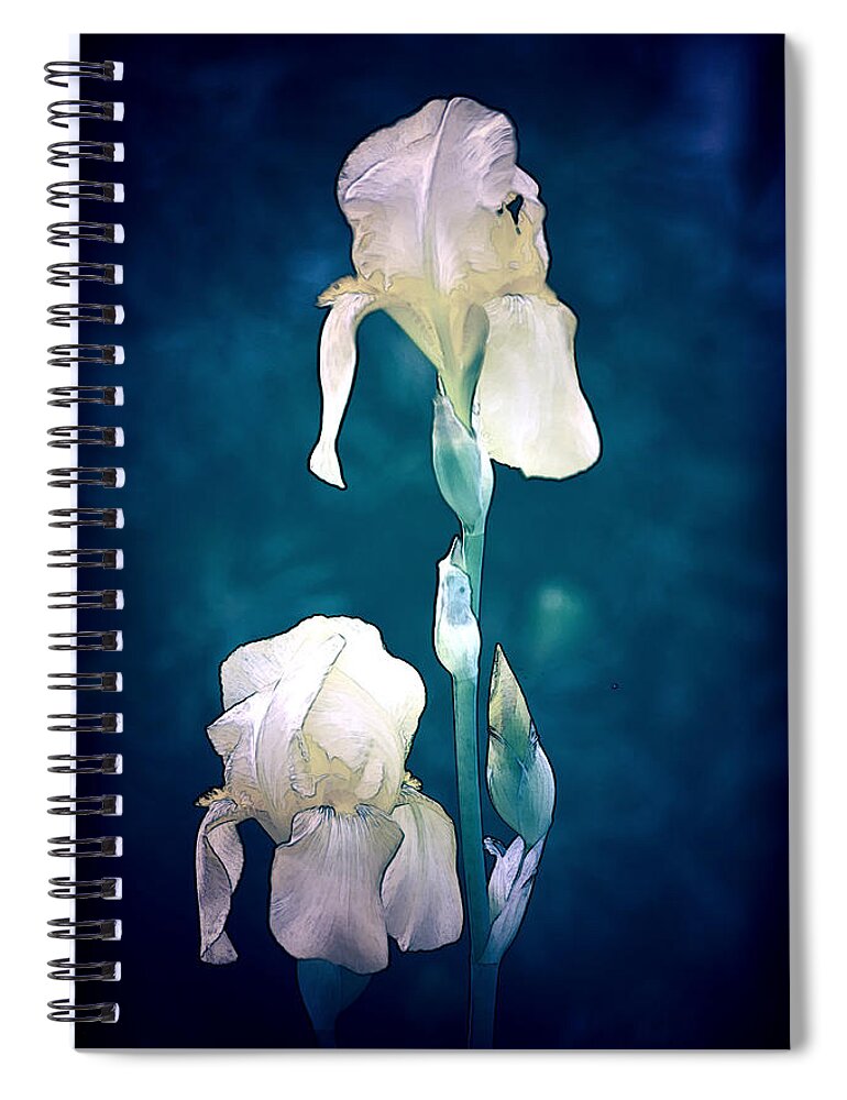 Flowers Spiral Notebook featuring the mixed media Looking Beyond 9947 by Sherry Hallemeier