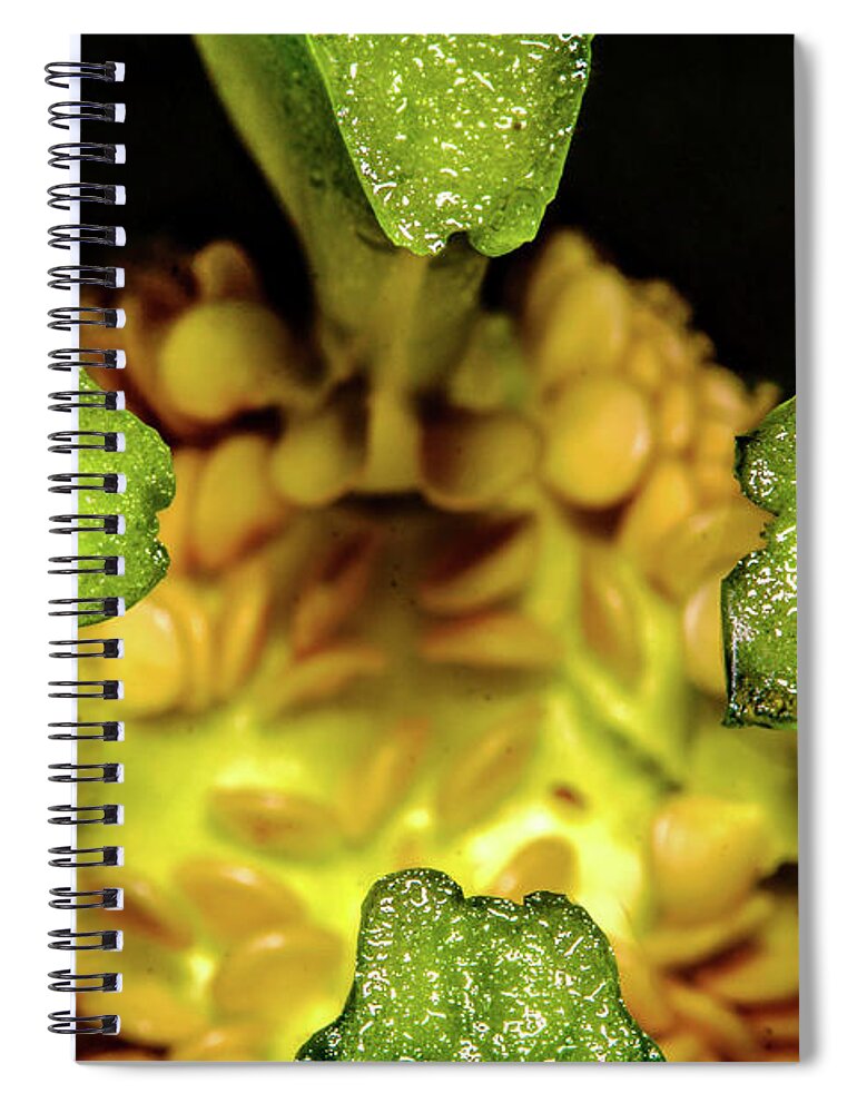 Macro Spiral Notebook featuring the photograph Looking into a Pepper by John Bauer