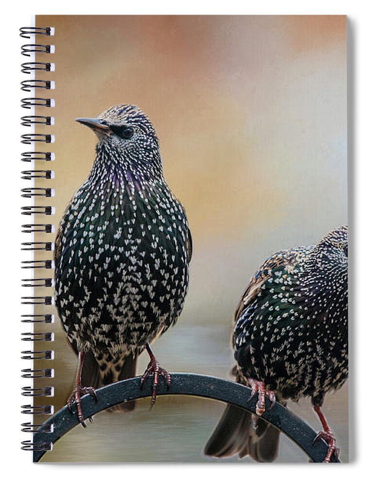 Birds Spiral Notebook featuring the photograph Looking Out by Cathy Kovarik