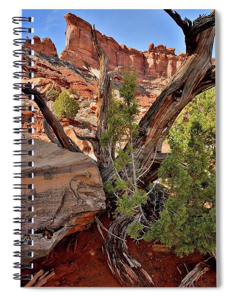 Valley Of The Gods Spiral Notebook featuring the photograph Looking Skyward in Valley of the Gods by Ray Mathis