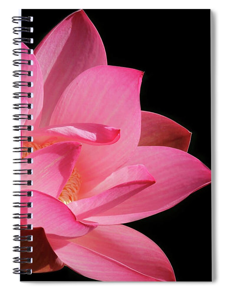 Lotus Spiral Notebook featuring the photograph Lotus Diva by Sabrina L Ryan