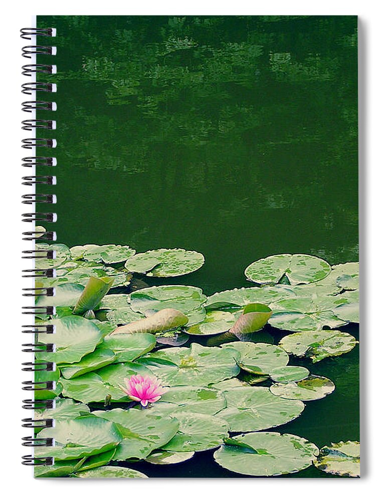 Chiba Prefecture Spiral Notebook featuring the photograph Lotus Flowers On Pond by Eriko Shinozuka