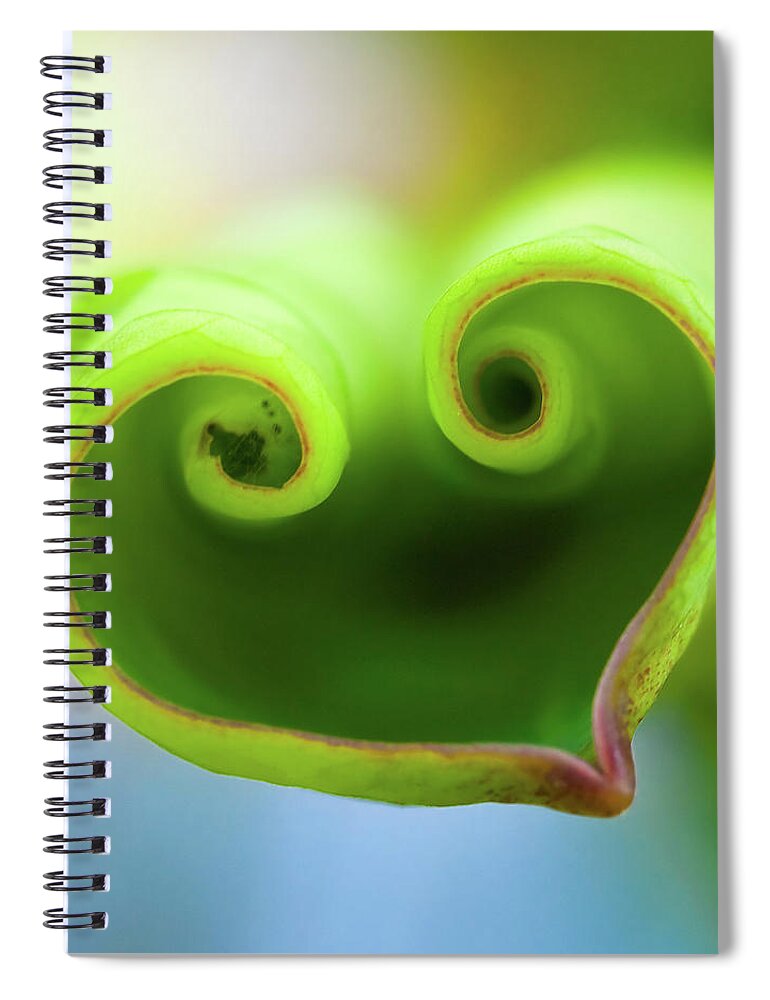Taiwan Spiral Notebook featuring the photograph Lotus Heart by Jung-pang Wu
