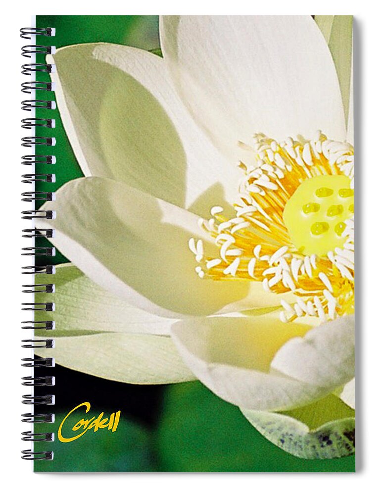 Flowers Spiral Notebook featuring the photograph Lotus by Joan Cordell