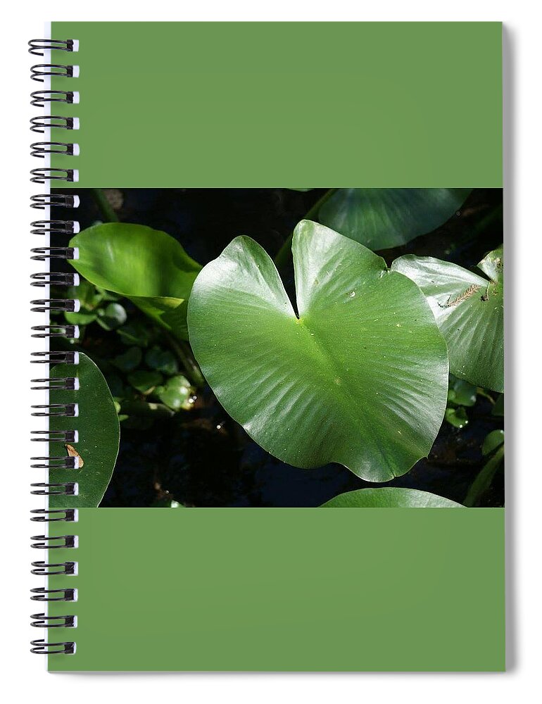 Florida Spiral Notebook featuring the photograph Love the Swamp by Lindsey Floyd
