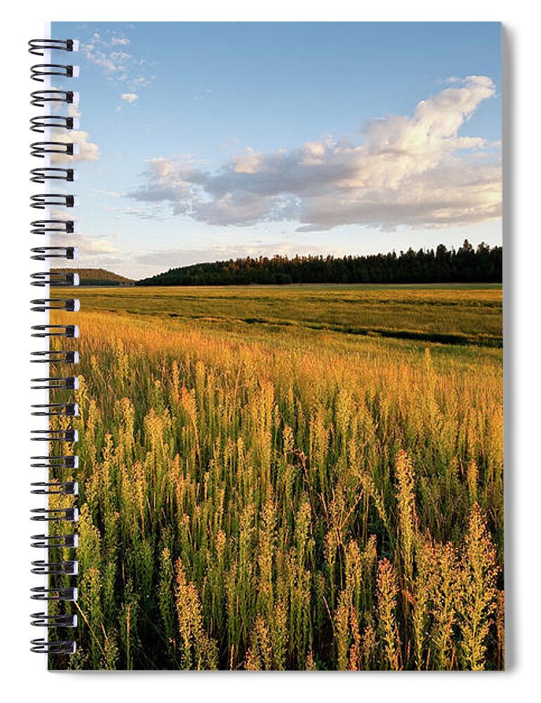 Arizona Spiral Notebook featuring the photograph Lower Lake Mary at Sunset by Jeff Goulden