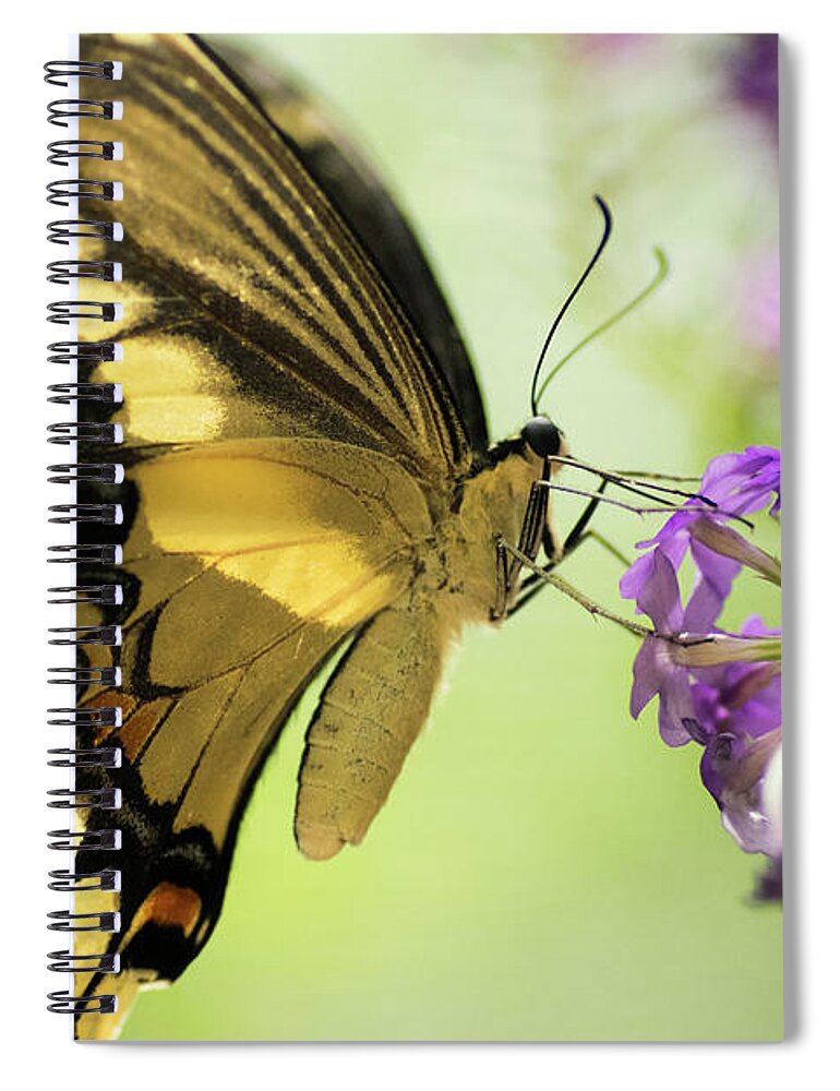 Eastern Spiral Notebook featuring the photograph Lunch in the Sun by Nathan Carlsen