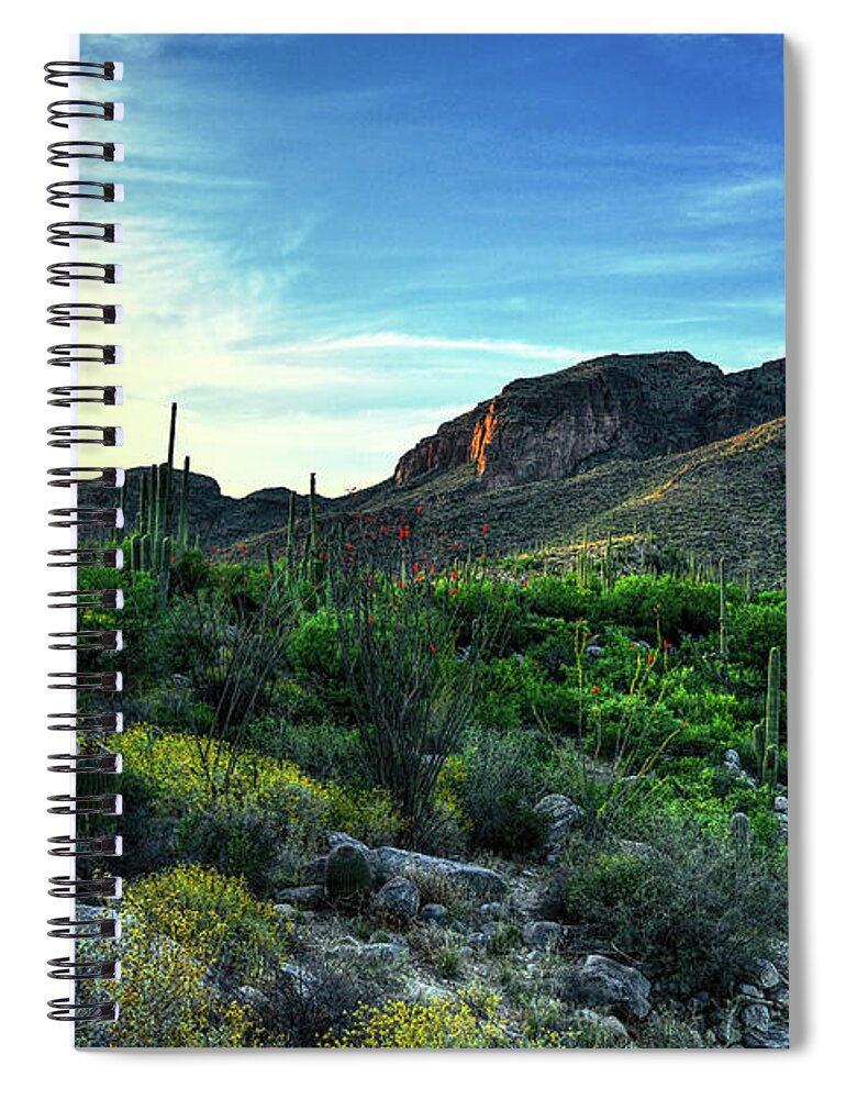 Santa Catalina Mountains Spiral Notebook featuring the photograph Lushness of the Arizona Spring by Chance Kafka