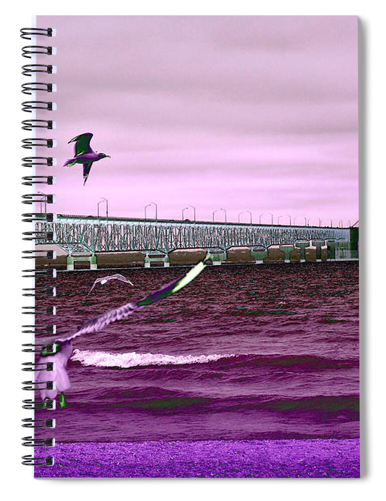 Mackinac Bridge Spiral Notebook featuring the photograph Mackinac Bridge Seagulls by Tom Kelly