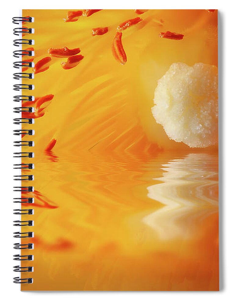 Cistus Spiral Notebook featuring the photograph Macro Cistus flower stamen in water by Simon Bratt
