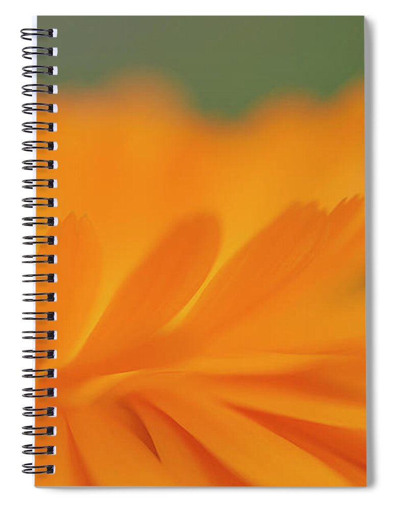Macro Spiral Notebook featuring the photograph Macro Orange 1 by Kathy Paynter