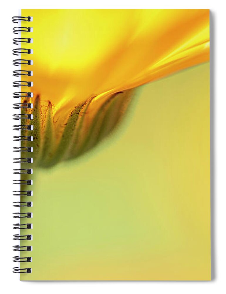 Macro Spiral Notebook featuring the photograph Macro Orange 5 by Kathy Paynter