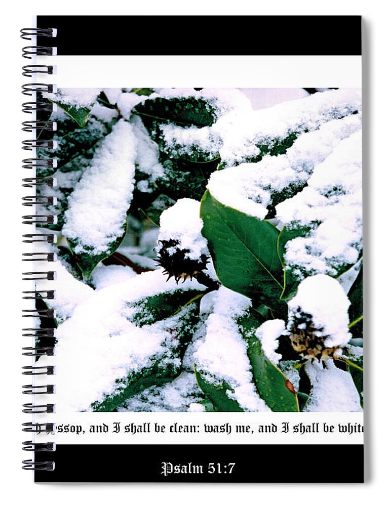 Southern Magnolia Spiral Notebook featuring the photograph Magnolia in Snow Deluxe Border PS 51 vs 7 by Mike McBrayer