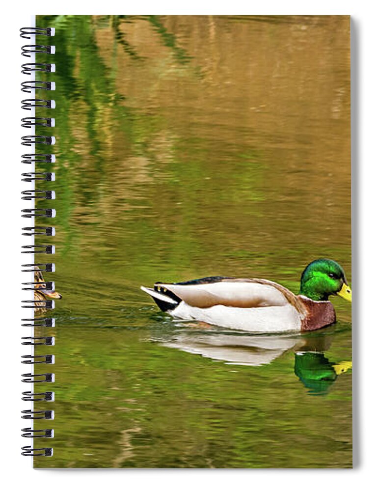 Mallard Spiral Notebook featuring the photograph Mallard Pair II by Kate Brown