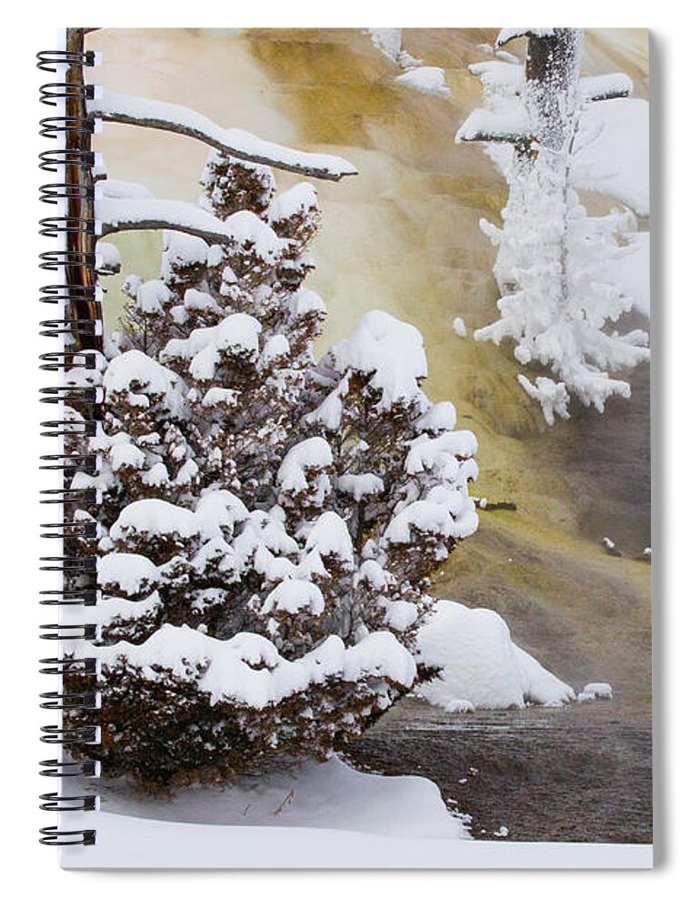 Sebastian Kennerknecht Spiral Notebook featuring the photograph Mammoth Hot Springs In Winter by Sebastian Kennerknecht