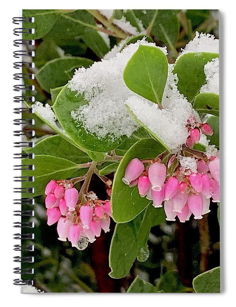 Photography Spiral Notebook featuring the photograph Manzanita Snow by Sean Griffin