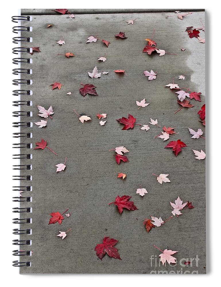 Maple Leaf Spiral Notebook featuring the photograph Maple Leaf Stroll by Ann E Robson