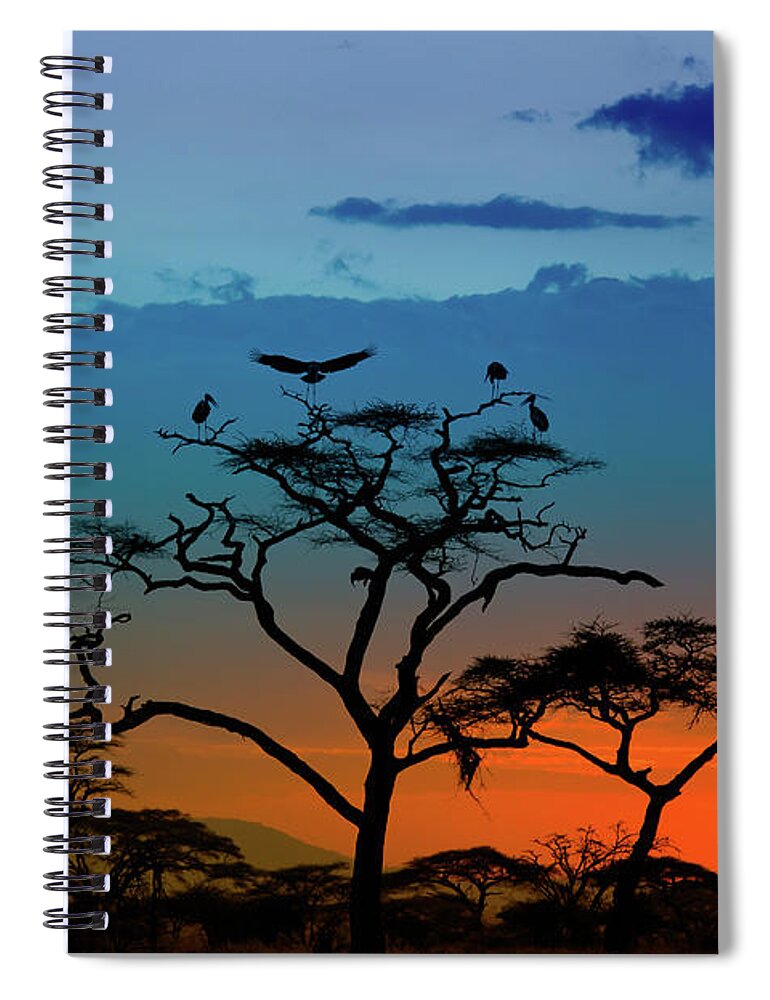 Scenics Spiral Notebook featuring the photograph Marabou Storks Landing On A Tree At by Guenterguni