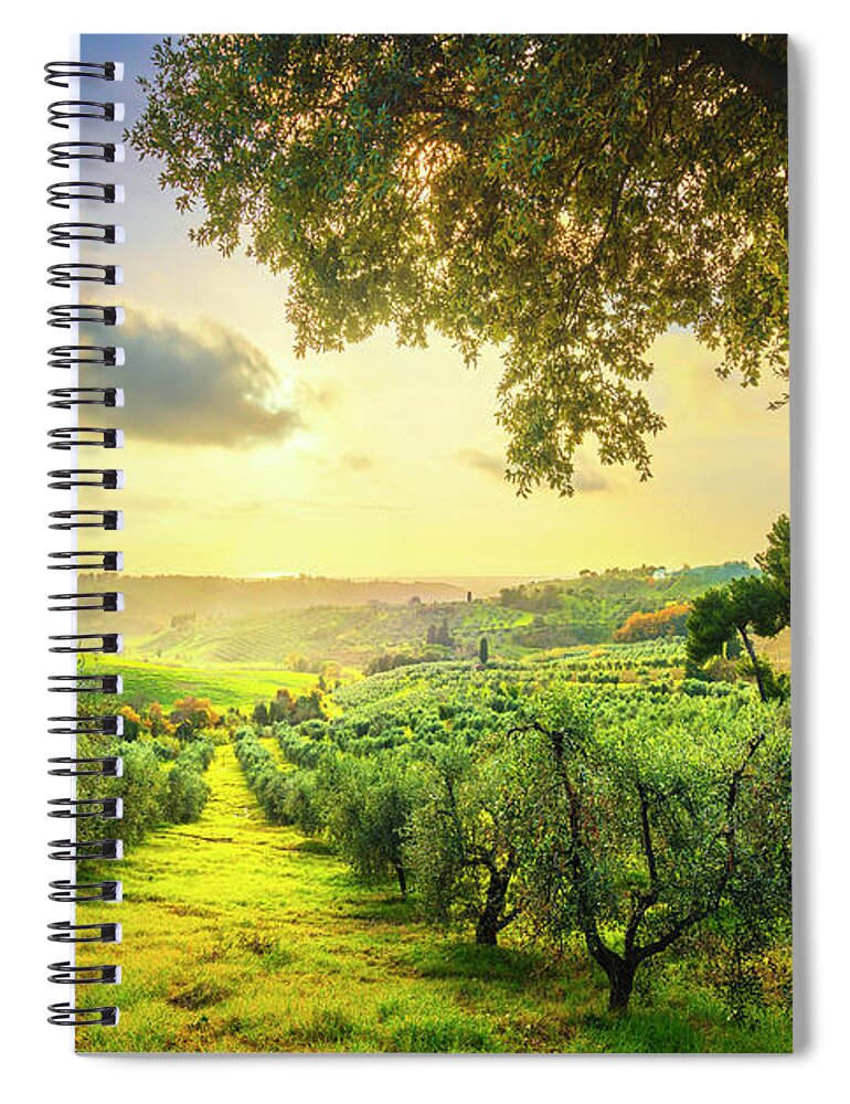 Olive Spiral Notebook featuring the photograph Maremma countryside panorama and olive trees on sunset. Casale M by Stefano Orazzini