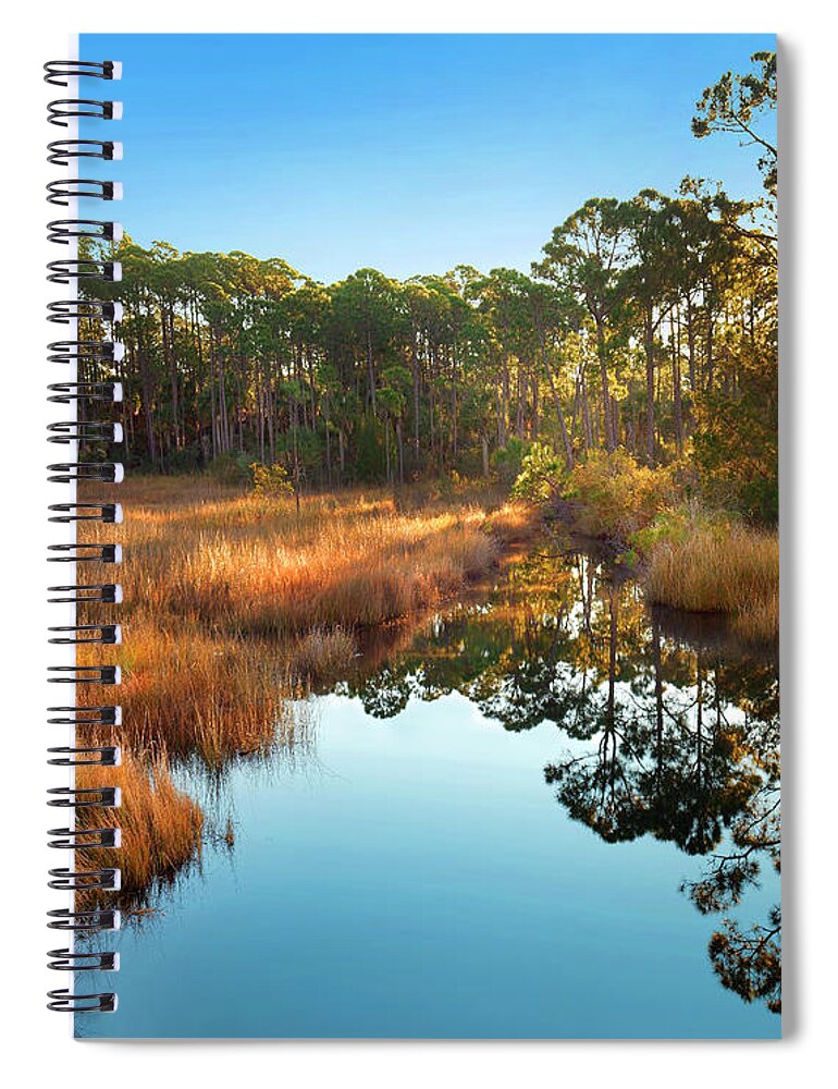 00546376 Spiral Notebook featuring the photograph Marsh And Trees At Sunrise, Saint Joseph Peninsula, Florida by Tim Fitzharris