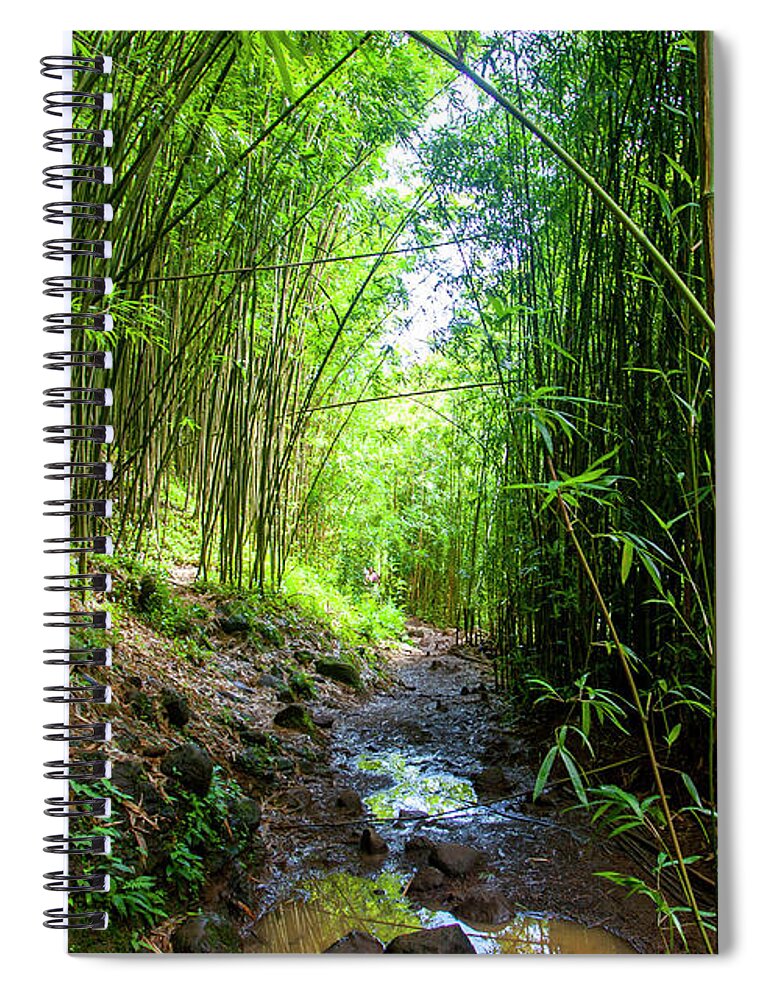 Bamboo Forest Spiral Notebook featuring the photograph Maui Bamboo Forest by Anthony Jones
