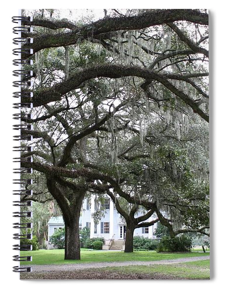 Mcleod Spiral Notebook featuring the photograph McLeod Plantation by Flavia Westerwelle